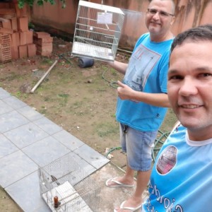 Criatório Renascendo