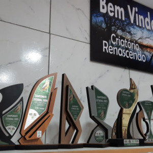 Criatório Renascendo