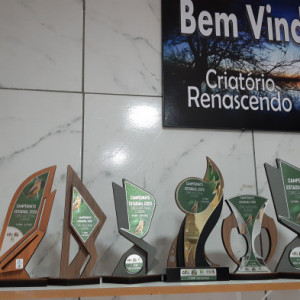 Criatório Renascendo