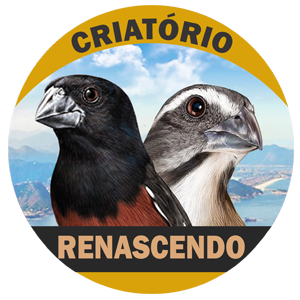 logotipo